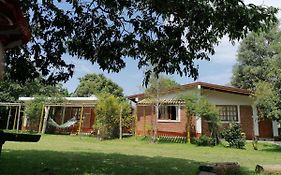 Casa Huerta Jacaranda